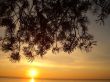 dawn on the sea in winter