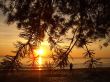 dawn on the sea in winter
