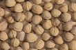 walnuts