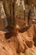 Bryce Canyon National Park, Utah