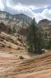 Zion National Park