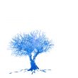 winter tree