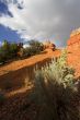 Zion National Park