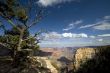 The Grand Canyon