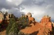 Dixie National Forest