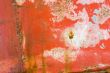 Grunge background