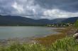 Irish Bay