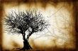 Grunge Tree design