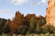 Zion National Park