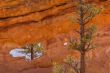 Rock Window Bryce Canyon