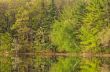 Spring Foliage Hall Lake