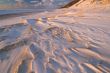 Winter Saugatuck Dunes