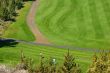 Golfers on bright green fairway