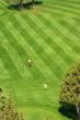 Golfers on bright green fairway
