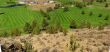 Panorama, golf course