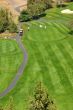 Golfers on bright green fairway