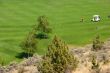 Golfers on bright green fairway