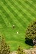 Golfers on bright green fairway