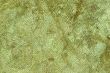 Rough green cement wall background