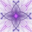 Magic star background