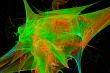 Abstract fractal background