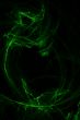 Abstract green background over black