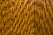 Vivid brown wooden background