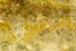 Yellow natural stone background