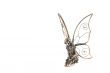 Metal Fairy