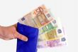 Wallet with Euro Notes