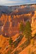 Sunrise Bryce Canyon National Park