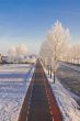 Winter in Holland