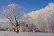 Winter in Holland