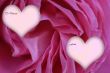 Happy Valentines Day from to
