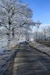 Winter landscape an icy road