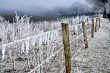 Winter landscape icy barbed wire