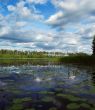 lake, clouds, evening
