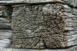 Timber butt of old wooden church wall