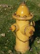 Yellow Fire Hydrant