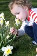 Smelling The Flowers