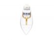 Big yacht isolated front view