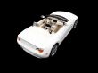 isolated white car back view 01