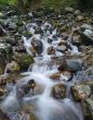 Stream