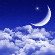 Silent night, moonlit night