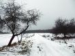 winter rural road