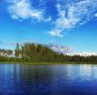 forest lake