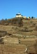 Church and vineyard
