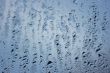 Wet background