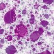 an abstract background