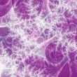 an abstract background